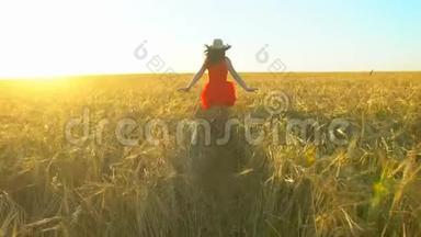快乐的旅行者，年轻的西班牙裔美女，在日落的夏天在麦田上奔跑。 自由健康幸福旅游